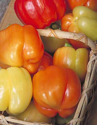 Blushing Beauty F1 Pepper Seeds - The Pepper Pantry (Formerly Marie Sharp's)
